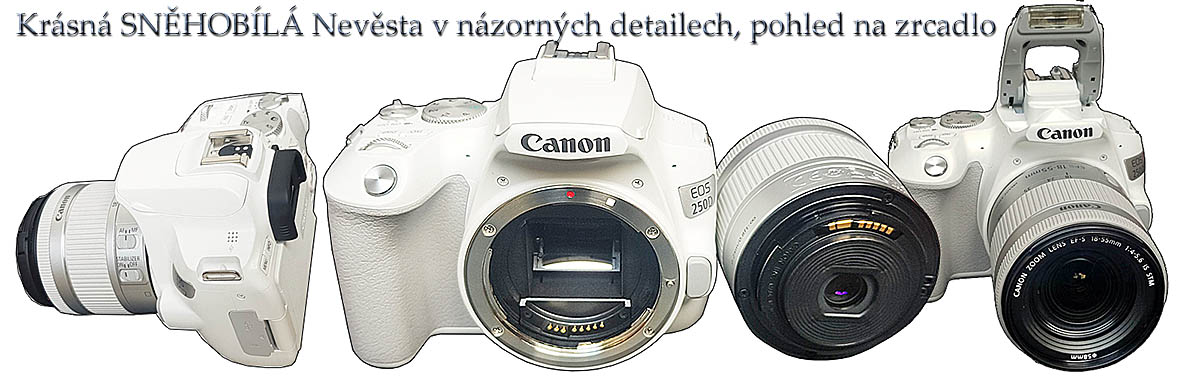 Sněhobílá KRÁSKAv názorných deatilech a pohled na čip Sněhobílá KRÁSKAv názorných deatilech a pohled na čip