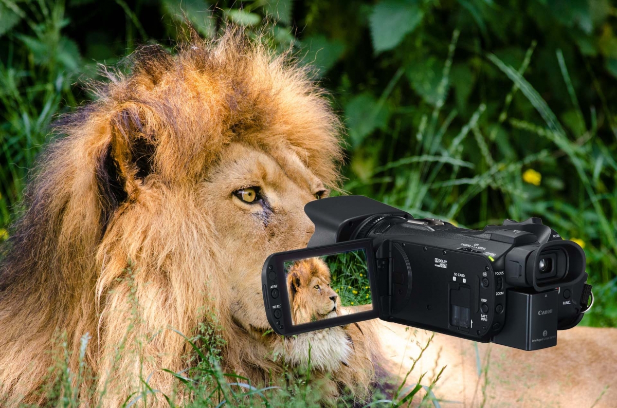Fajnšmekrovská mašinka Canon HF G40 Fajnšmekrovská mašinka Canon HF G40