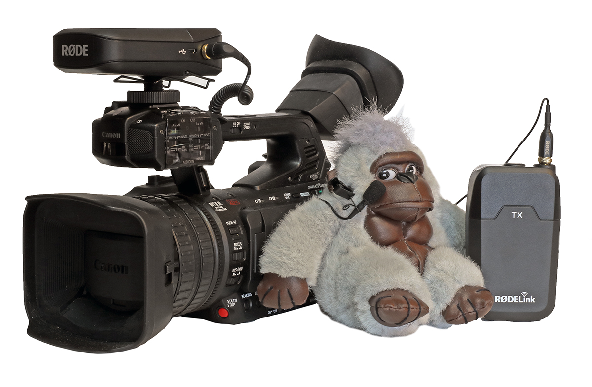 Bezdrátová mikrofonní sada RØDELink Filmmaker Kit Bezdrátová mikrofonní sada RØDELink Filmmaker Kit